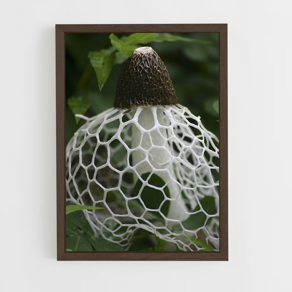 ap-stinkhorn-1 cadre Bois foncé