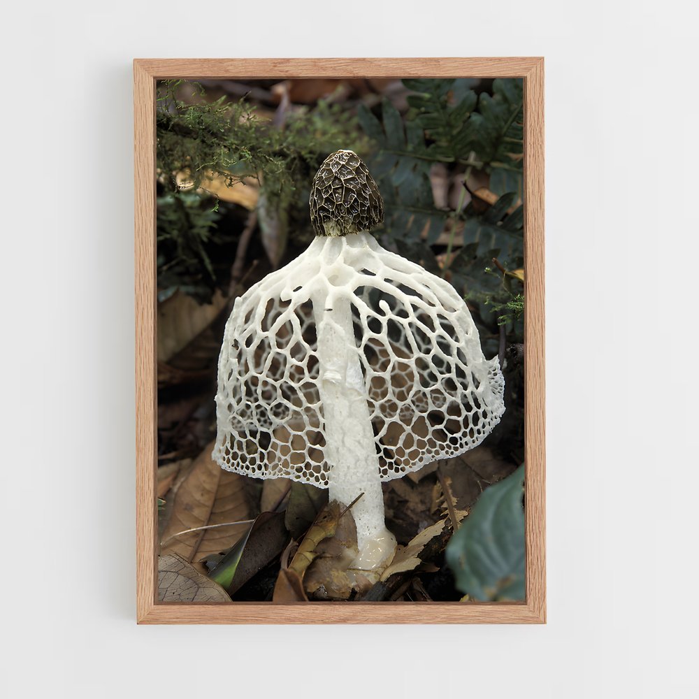 ap-stinkhorn-3 cadre Bois clair