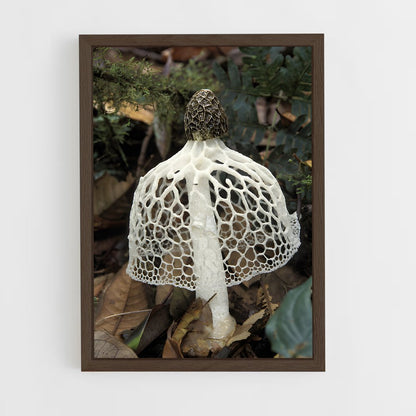 ap-stinkhorn-3 cadre Bois foncé
