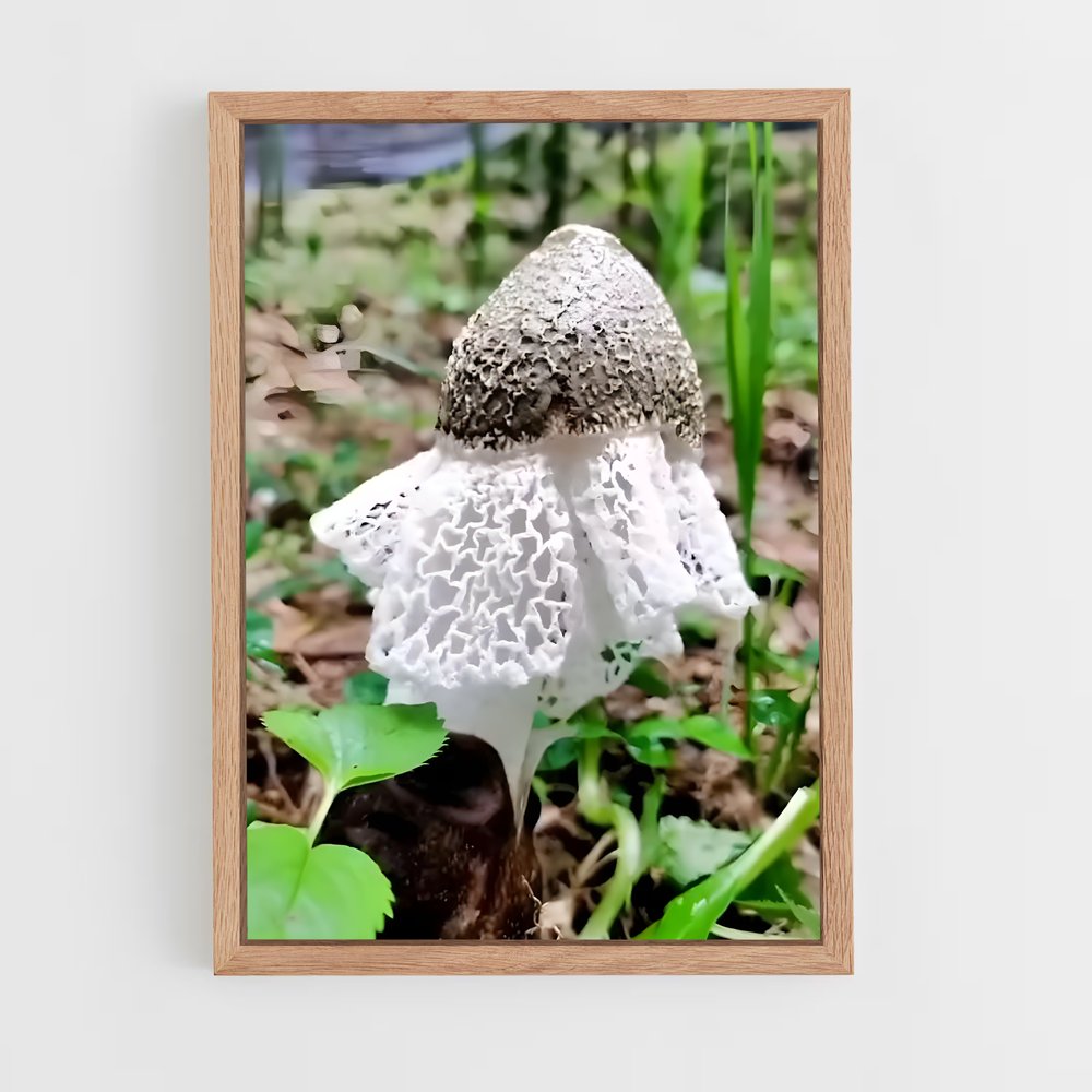 ap-stinkhorn-4 cadre Bois clair