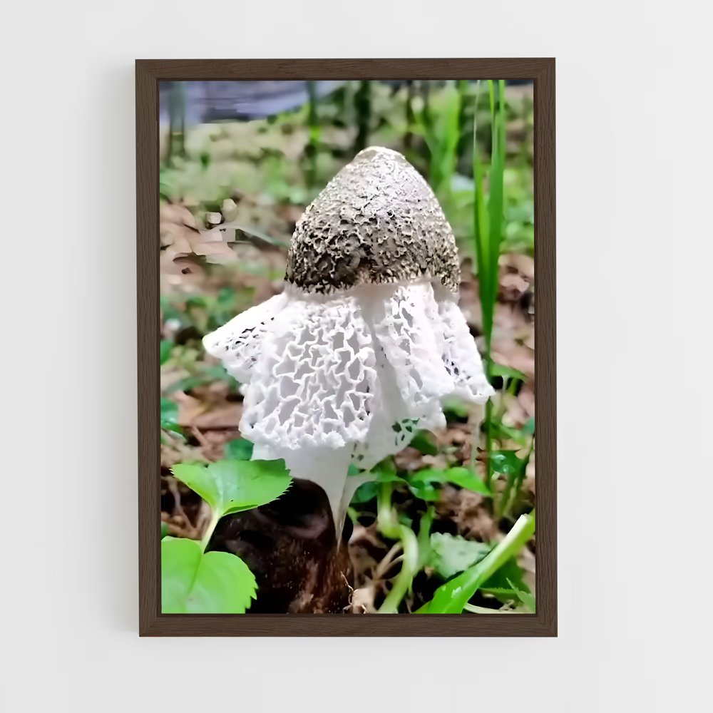 ap-stinkhorn-4 cadre Bois foncé