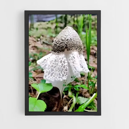 ap-stinkhorn-4 cadre Noir