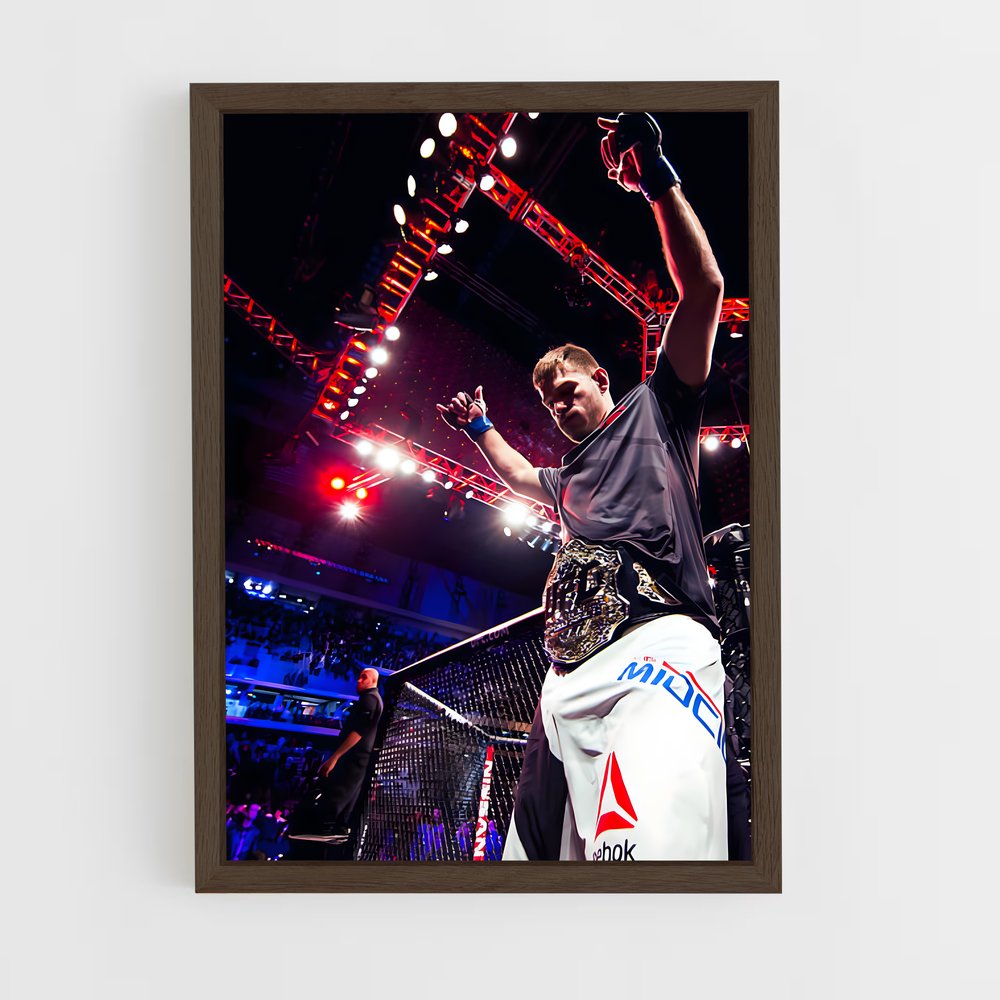 ap-stipe miocic-6 cadre Bois foncé