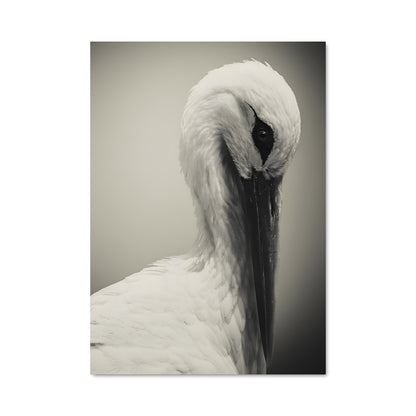 Poster L'Élégance de la Cigogne
