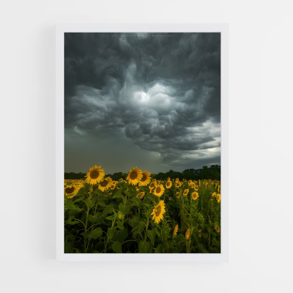 ap-storm-7 cadre Blanc