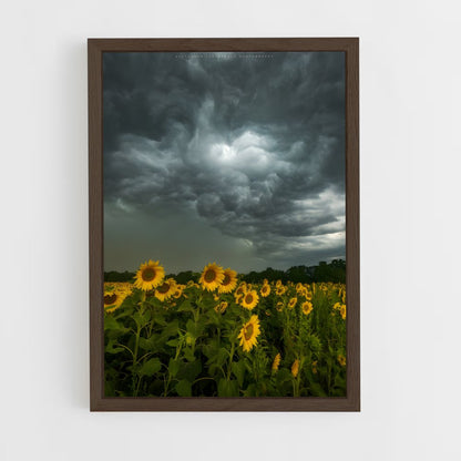 ap-storm-7 cadre Bois foncé