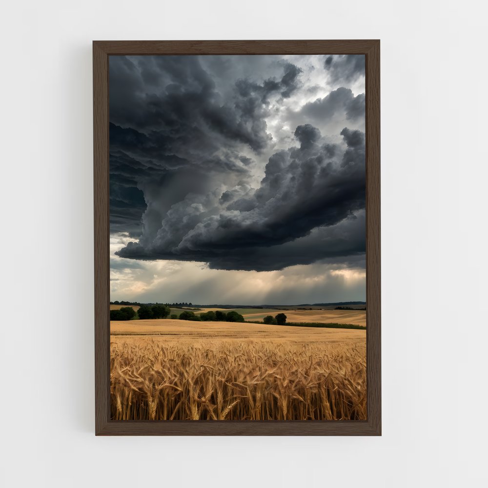 ap-storm-8 cadre Bois foncé