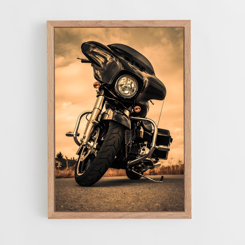 ap-street glide special-1 cadre Bois clair