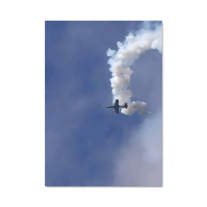 Poster Vol de Stunt
