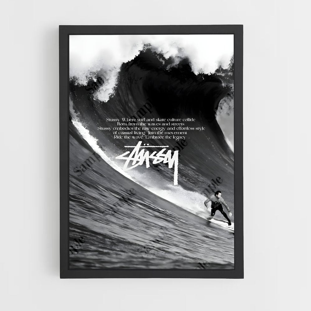 ap-stussy-1 cadre Noir