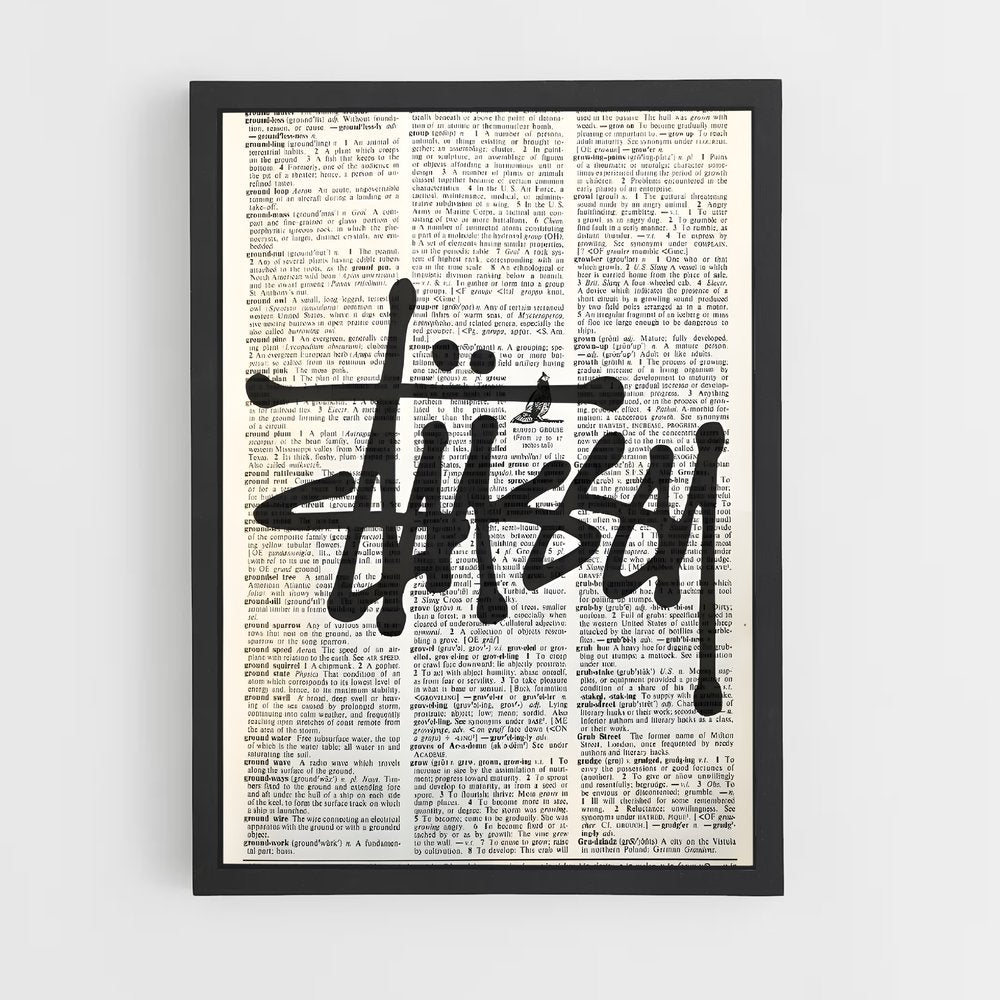 ap-stussy-14 cadre Noir