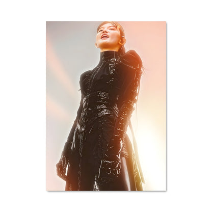 Poster Su-metal 47033