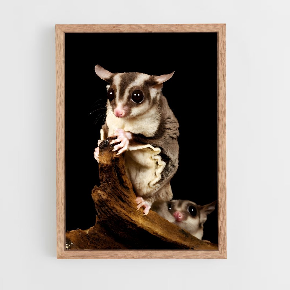 ap-sugar glider-1 cadre Bois clair