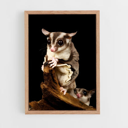 ap-sugar glider-1 cadre Bois clair