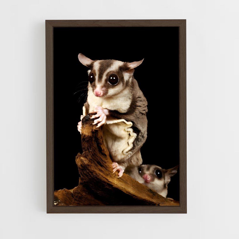 ap-sugar glider-1 cadre Bois foncé
