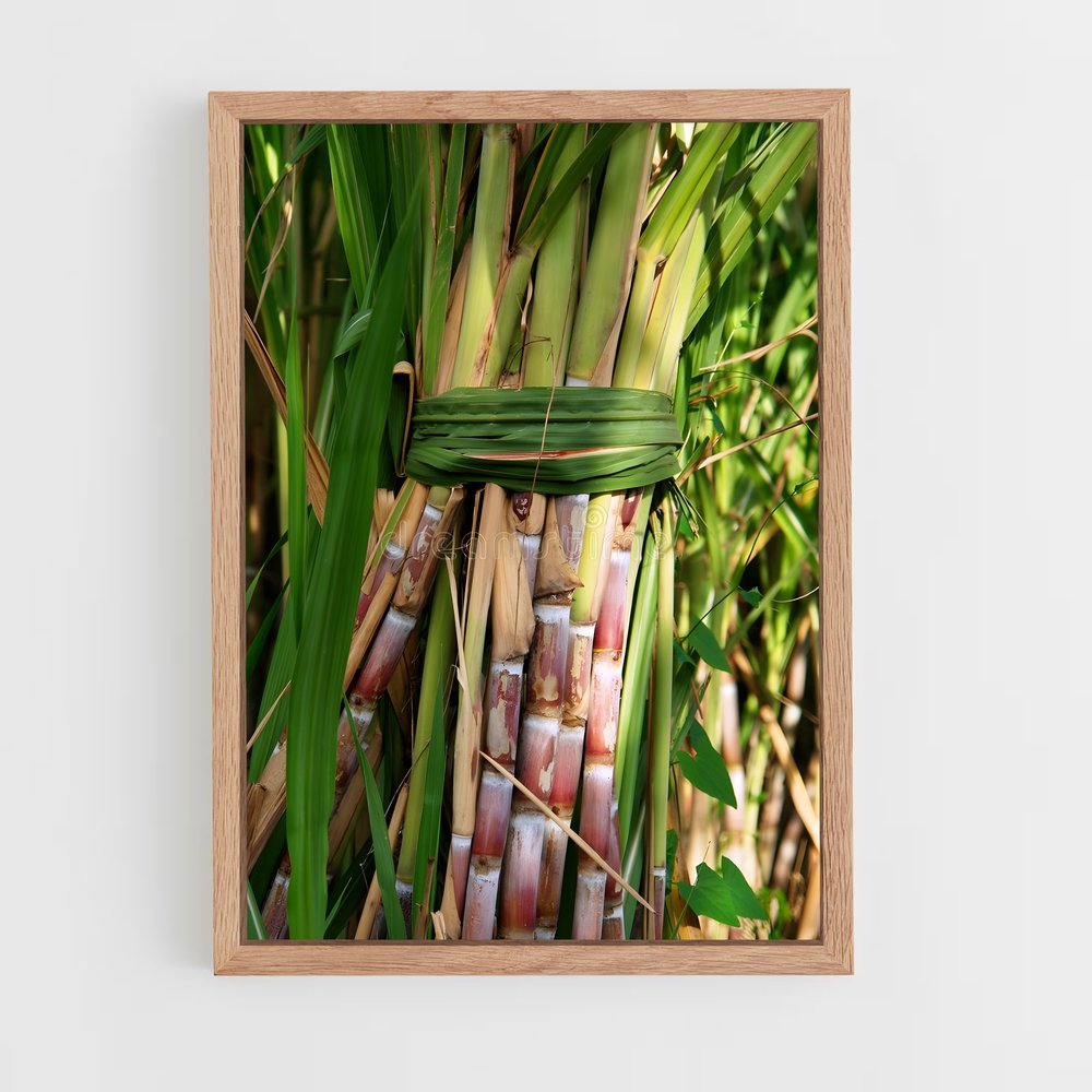 ap-sugarcane-11 cadre Bois clair