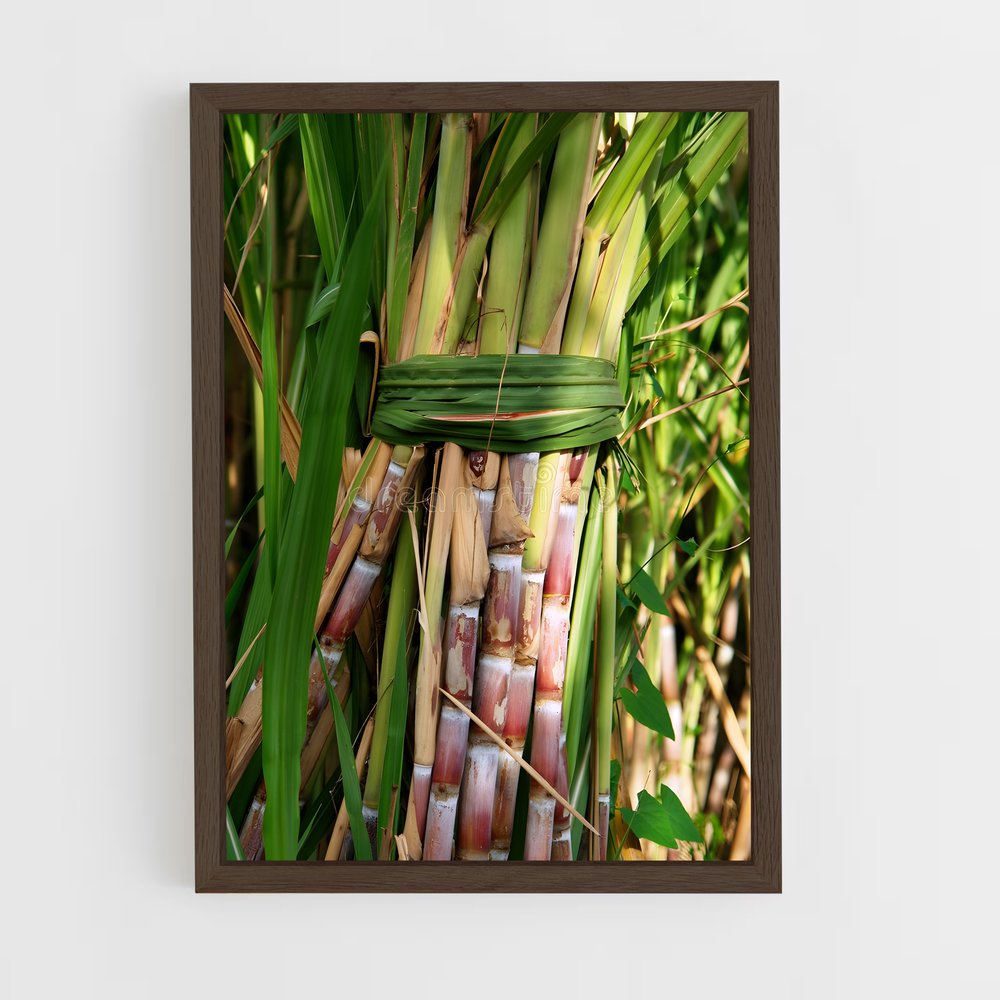 ap-sugarcane-11 cadre Bois foncé