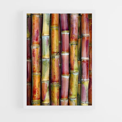 ap-sugarcane-12 cadre Blanc