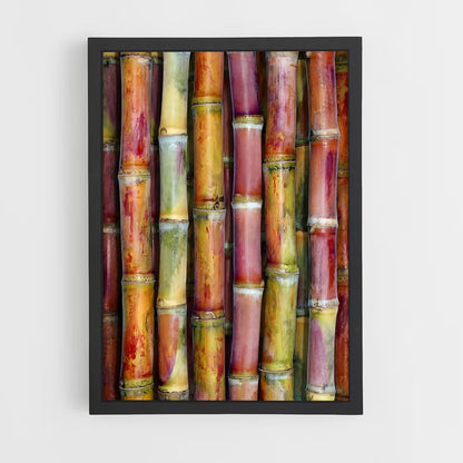 ap-sugarcane-12 cadre Noir