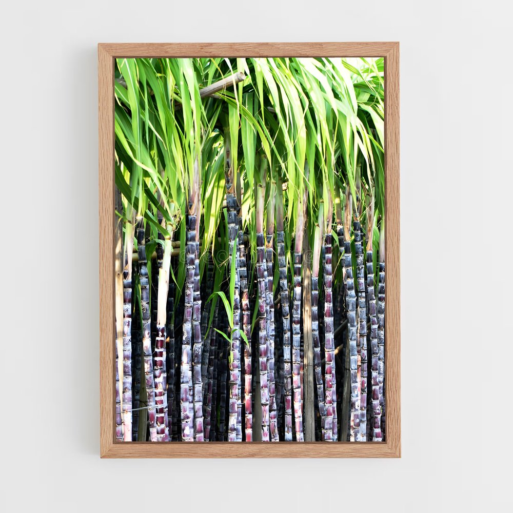 ap-sugarcane-2 cadre Bois clair