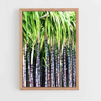 ap-sugarcane-2 cadre Bois clair