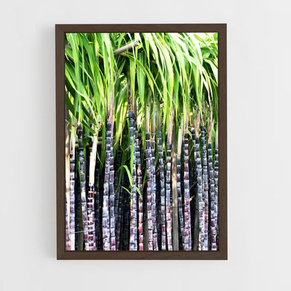 ap-sugarcane-2 cadre Bois foncé