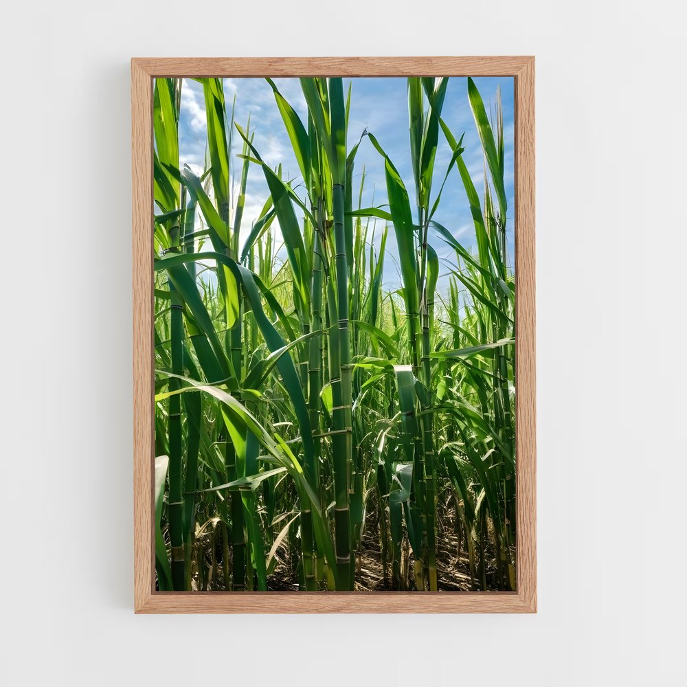 ap-sugarcane-3 cadre Bois clair