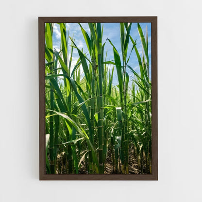 ap-sugarcane-3 cadre Bois foncé