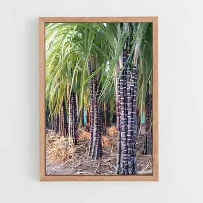 ap-sugarcane-4 cadre Bois clair