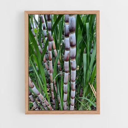 ap-sugarcane-7 cadre Bois clair