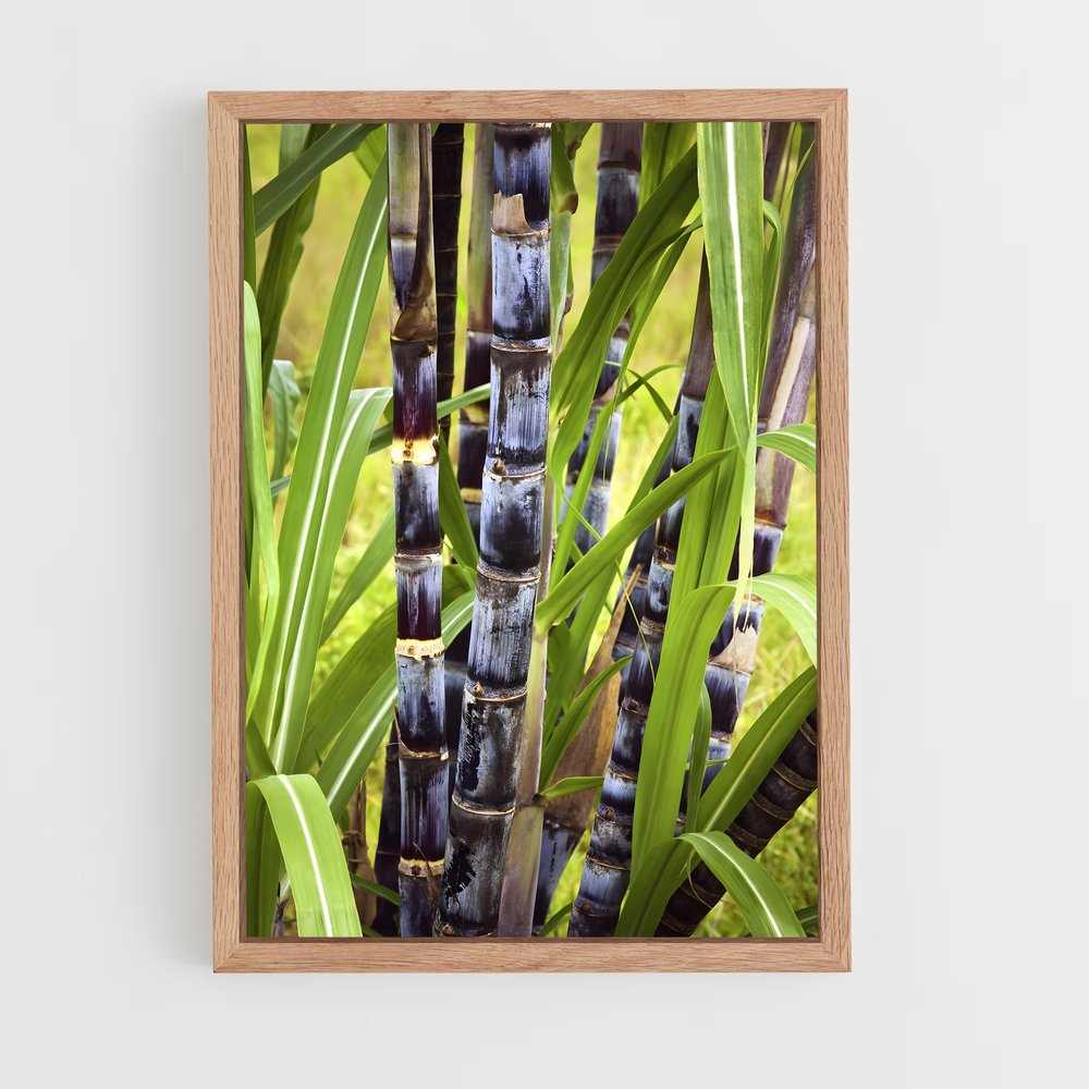ap-sugarcane-9 cadre Bois clair