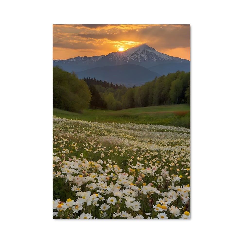 Poster Summer 97669