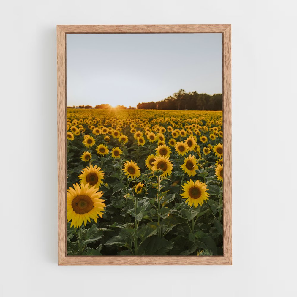 ap-sunflower-4 cadre Bois clair