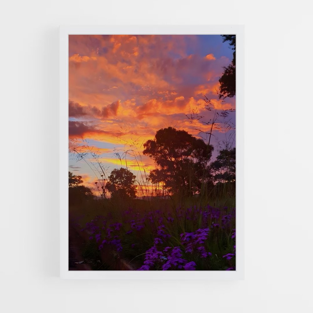 ap-sunset-2 cadre Blanc