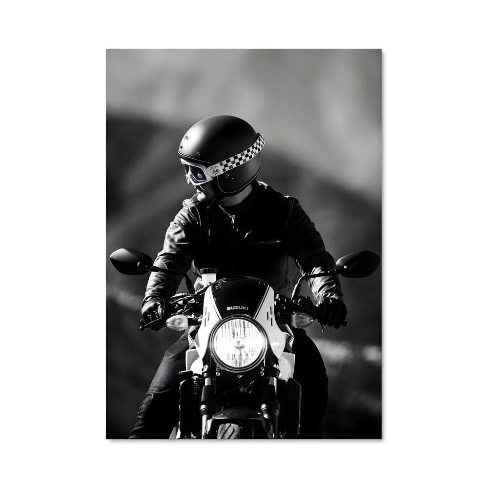 Poster Sv650x 82762