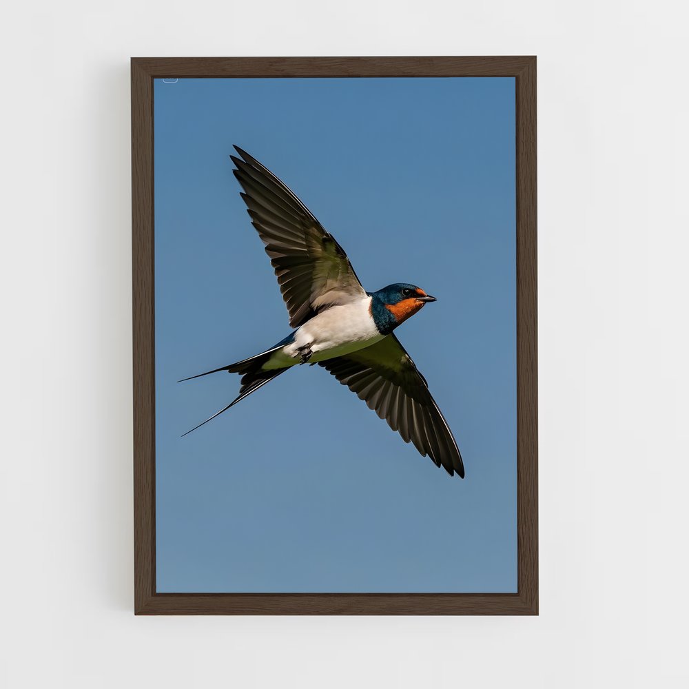 ap-swallow-13 cadre Bois foncé