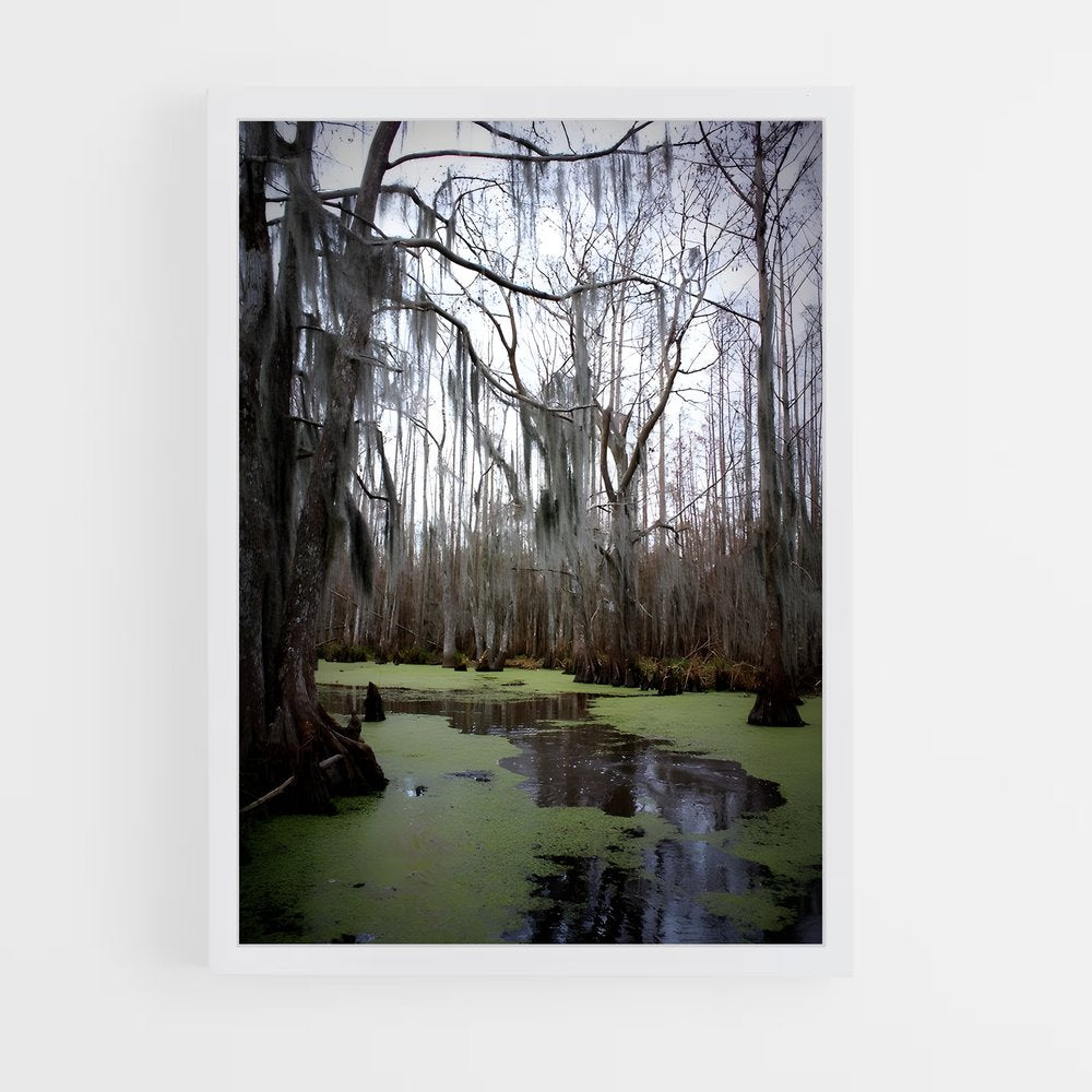 ap-swamp-1 cadre Blanc