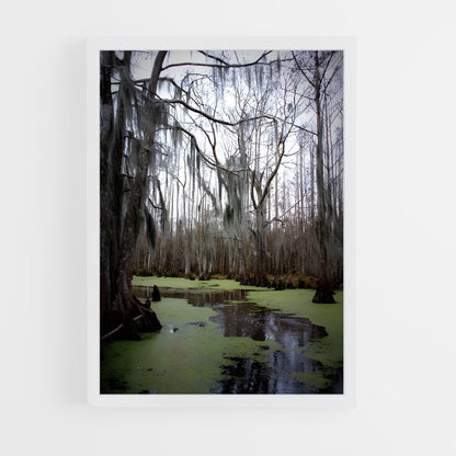 ap-swamp-1 cadre Blanc