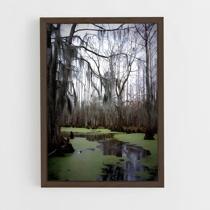 ap-swamp-1 cadre Bois foncé