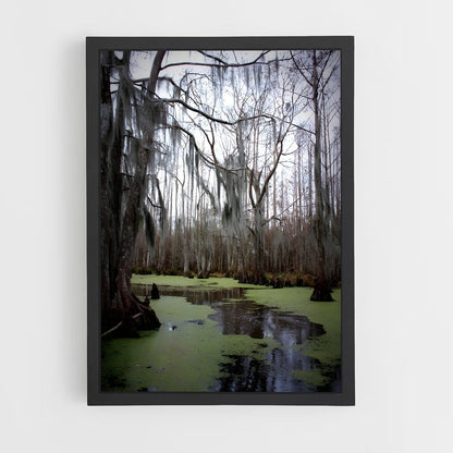 ap-swamp-1 cadre Noir