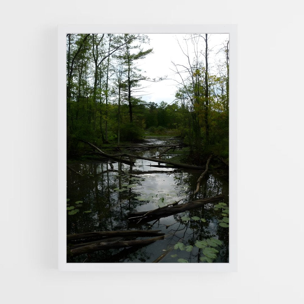 ap-swamp-2 cadre Blanc