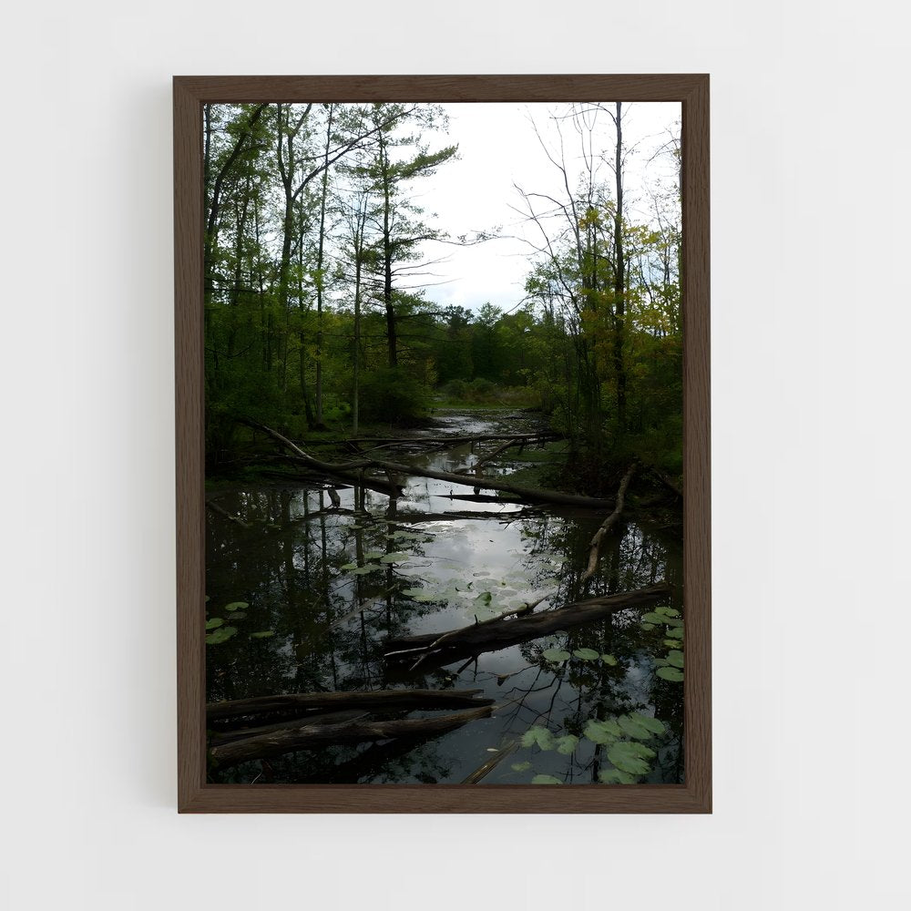 ap-swamp-2 cadre Bois foncé