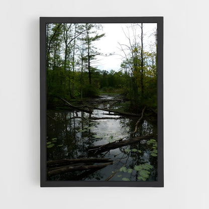 ap-swamp-2 cadre Noir
