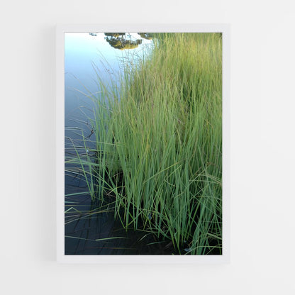 ap-swamp-5 cadre Blanc