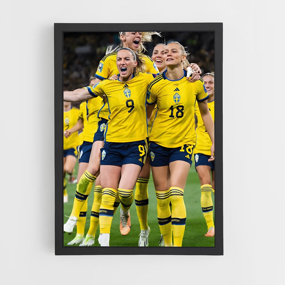 ap-sweden national football team-5 cadre Noir
