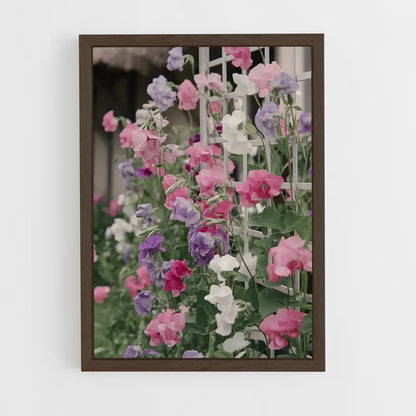 ap-sweet pea-1 cadre Bois foncé
