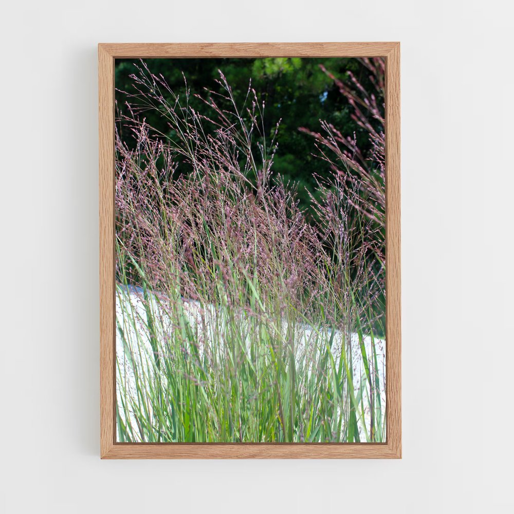 ap-switchgrass-1 cadre Bois clair