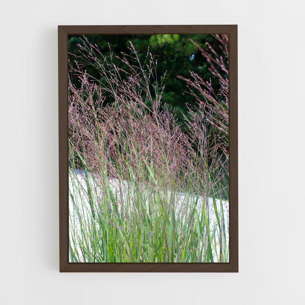 ap-switchgrass-1 cadre Bois foncé