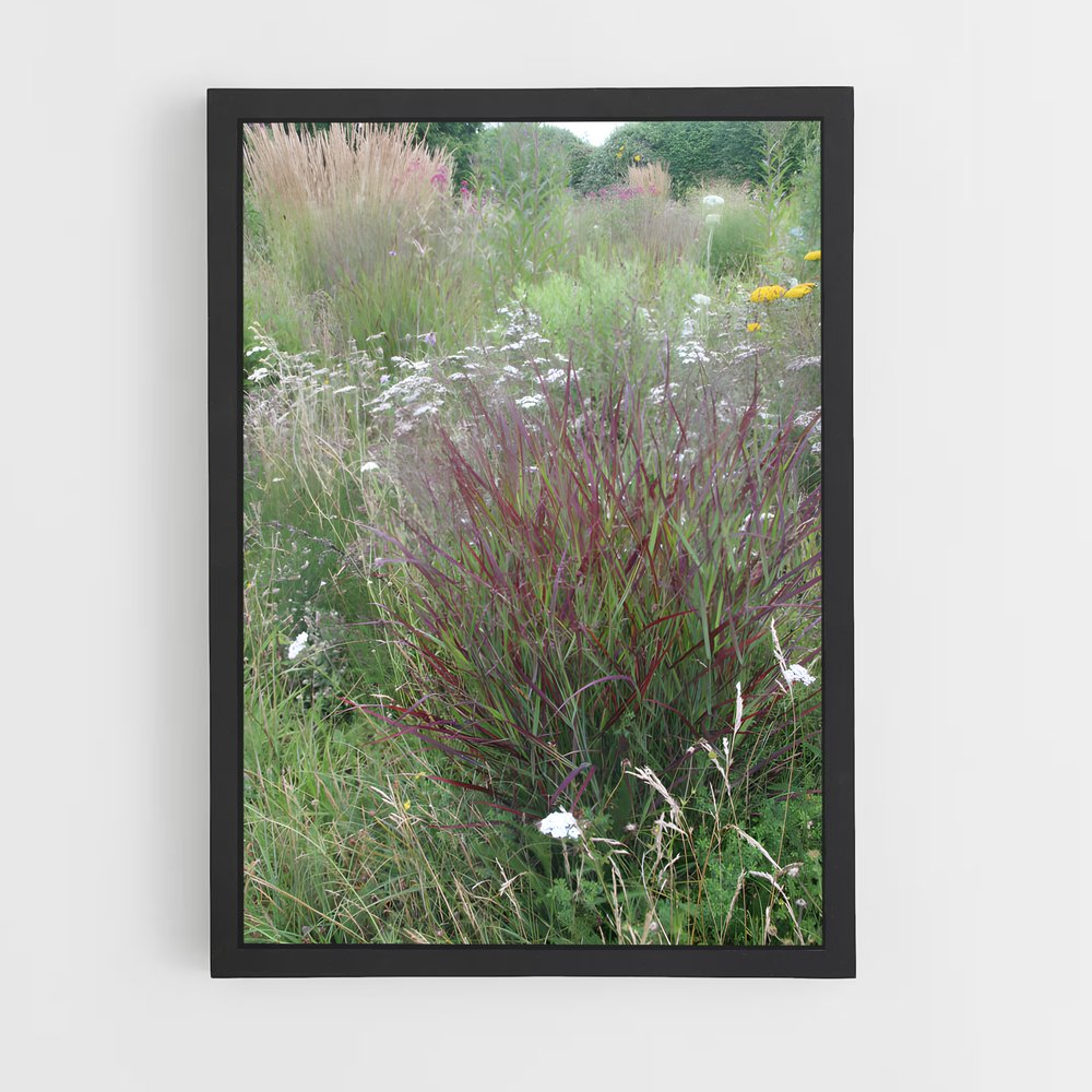 ap-switchgrass-2 cadre Noir