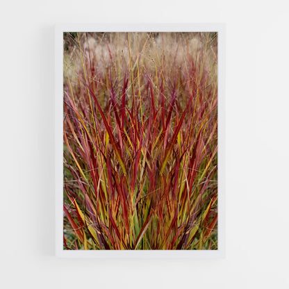 ap-switchgrass-3 cadre Blanc